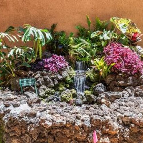 Lush tropical grounds with little rock waterfalls