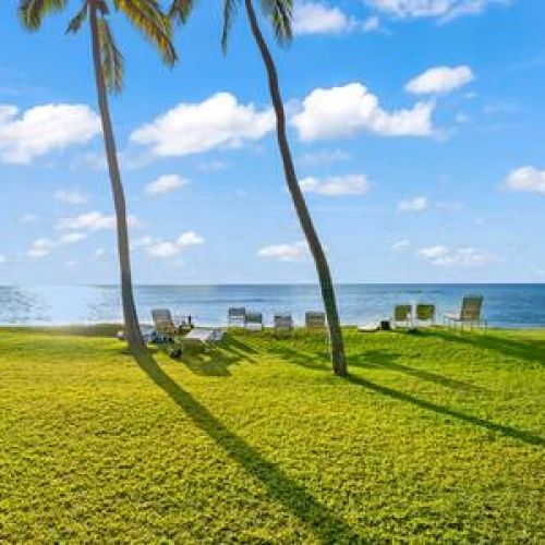 Oceanfront grass sun lounge area