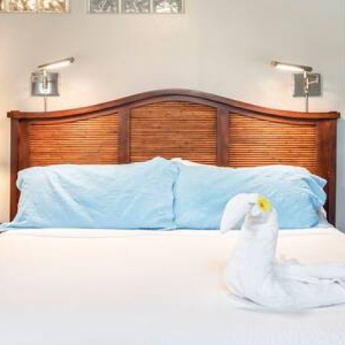 Built in reading lamps above bed and that Stay Aloha aesthetic...
