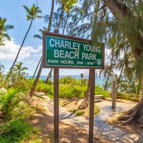 Cross the street and end up at Charley Young Beach Park. A local and tourist favorite