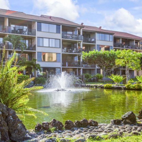 Tropical ponds throughout resort