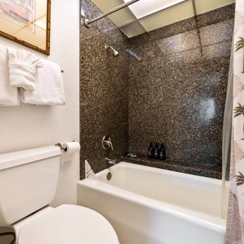 All essential bath products courtesy of Stay Aloha.