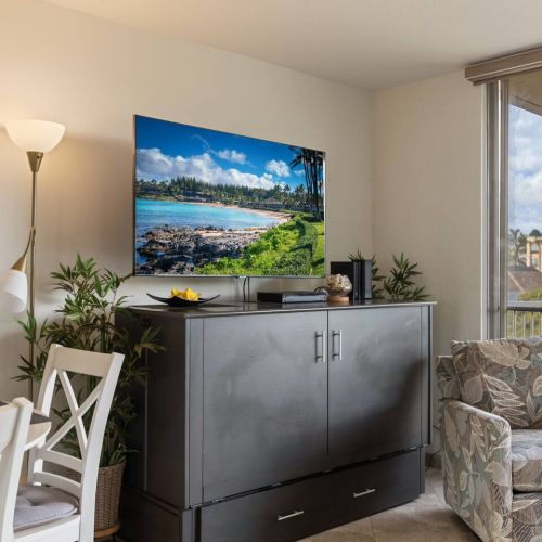 The TV stand is actually a very comfortable murphy bed