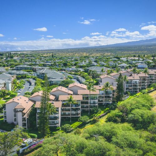 Maui scenery...