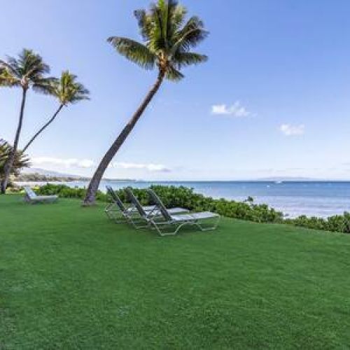 Oceanfront sun lounging area