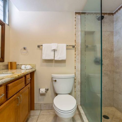 Walk in shower with ADA handles