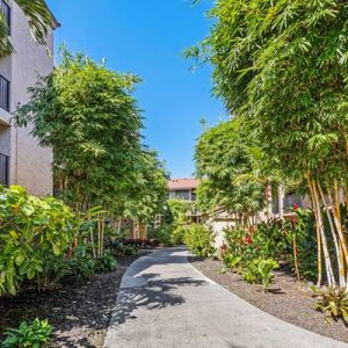Lush tropical grounds with Bamboo and red ginger everywhere.