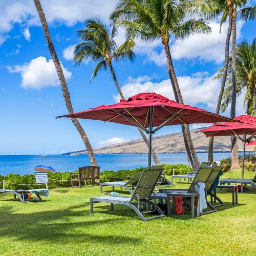 F1cc1245 659c 4a59 8722 439bf8ec23c7