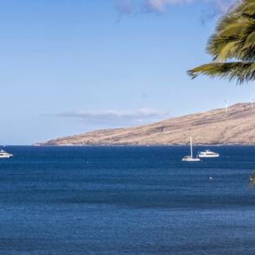 Maui Blue...