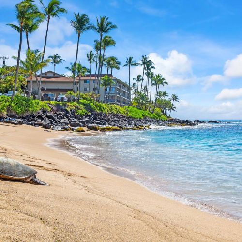 Pohaku beach park across the street