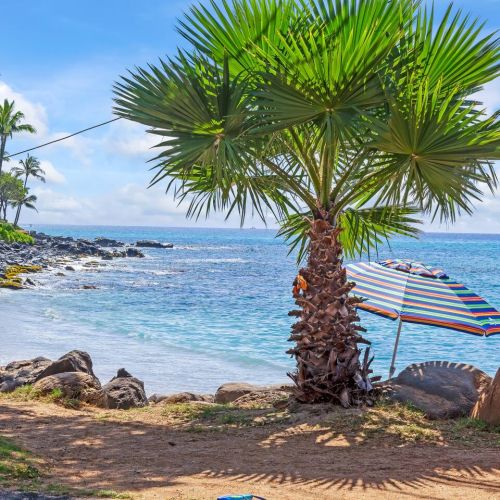 Pohaku beach park across the street