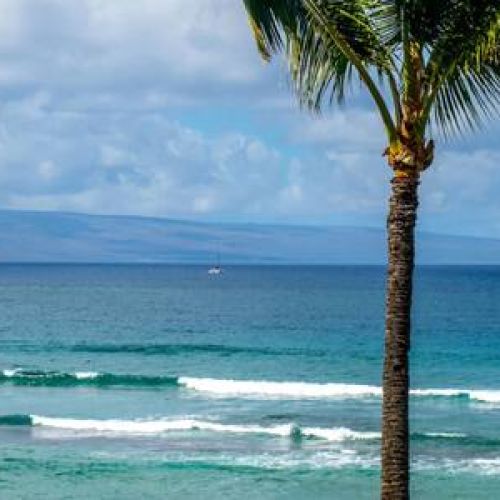 Maui Vibes...