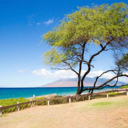 That unmistakable Maui blue...