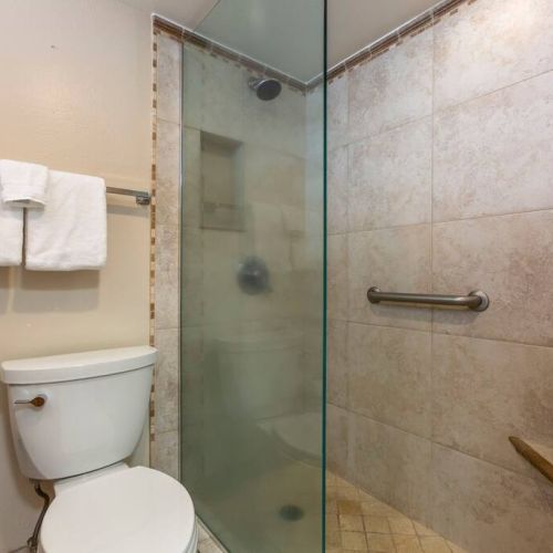 Walk in shower with all needed essentials