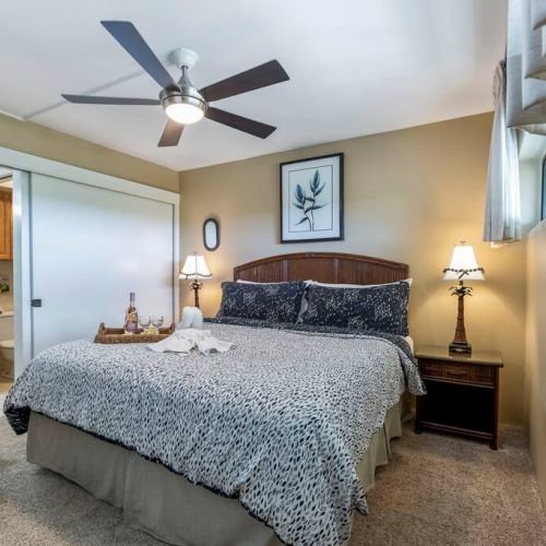 Bedroom features king size bed, ceiling fan, central AC, closet, dresser, and TV.