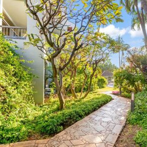 Lush tropical grounds at Hale Mahina