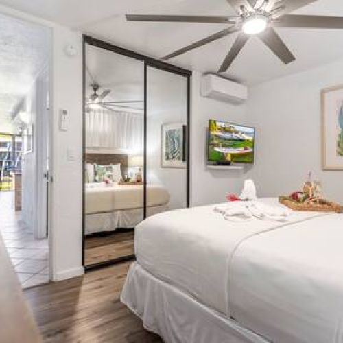 Bedroom features split AC, TV, oversized fan, and plenty of storage