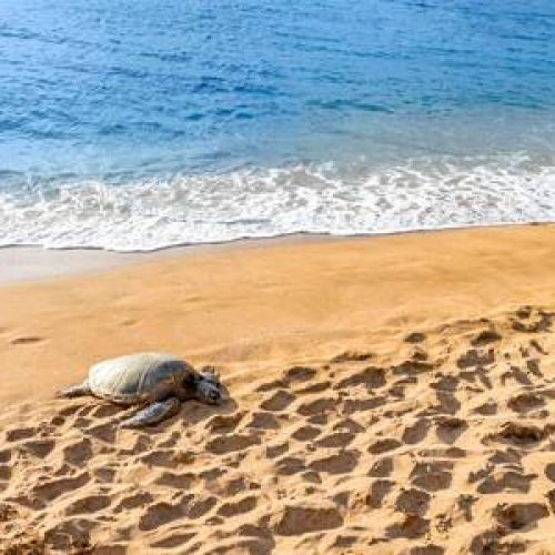 Ce8ce353 f38d 45e9 89f8 43f6f19ce48d