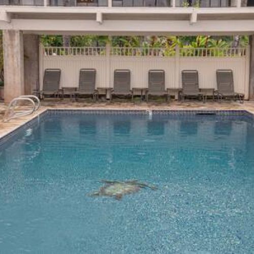 Kihei Akahi Pool area with plenty of seating
