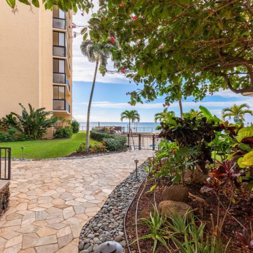 Lush tropical grounds