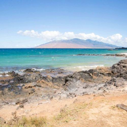 Sea turtles love to call this area home.