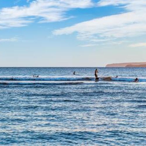 Surfers favorite, Cove Park