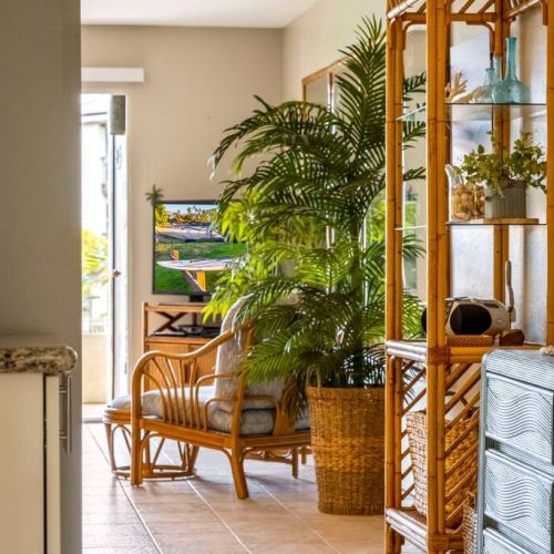 Walk in and feel the tropical essence