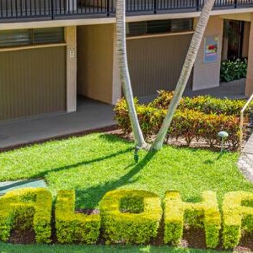 Aloha from Papakea Resort on Maui.