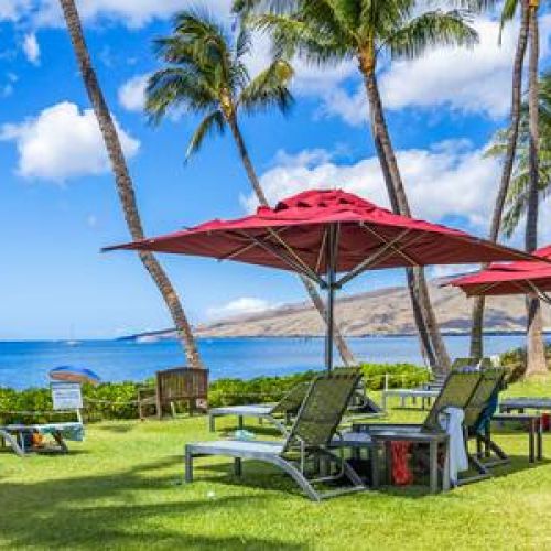 Oceanfront sun lounging area