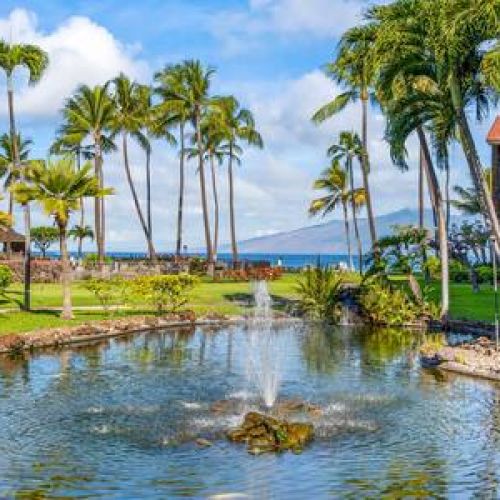 Koi ponds and putting greens. Resort things...