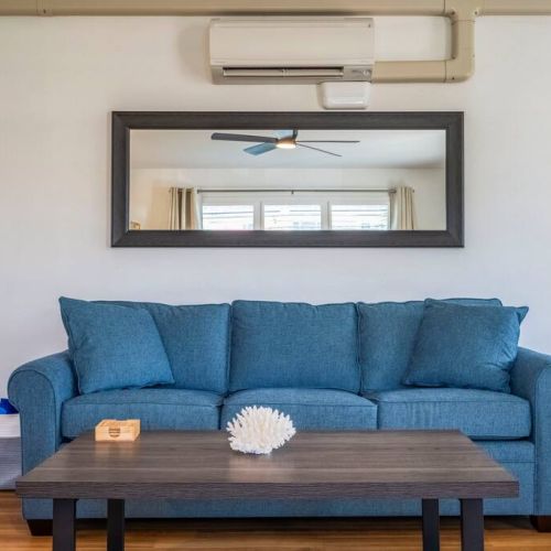 New queen sofa sleeper and new split AC system