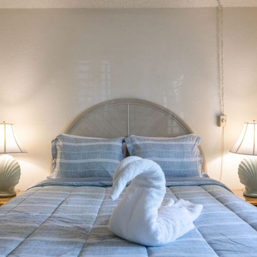 Birds of a feather flock together...