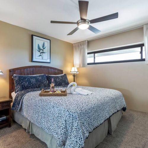 Bedroom features king size bed, ceiling fan, central AC, closet, dresser, and TV.