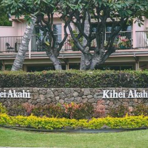 85324505 d87a 4681 9fcd f801aa8d16d6