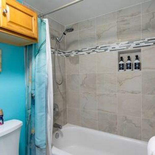 Bath/Shower combo with luxury organic bath essentials