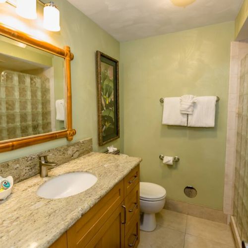 Full bathroom with walk in shower