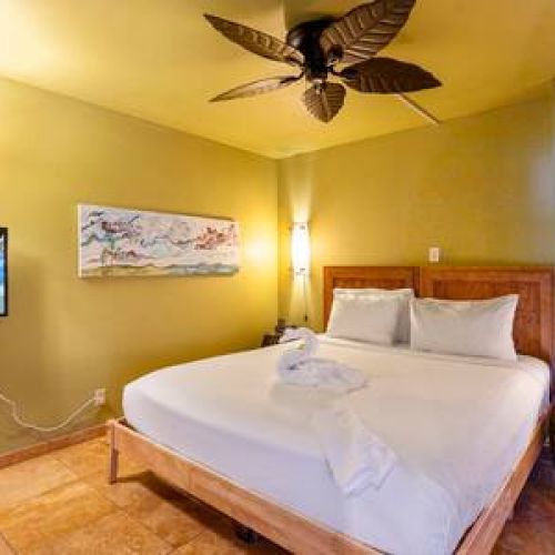 Bedroom features king size bed, ceiling fan, window AC unit, usb chargers, and TV