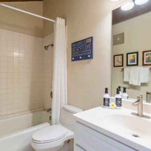 Bathroom features tub/shower combo, single sink vanity, and lux organic bath essentials