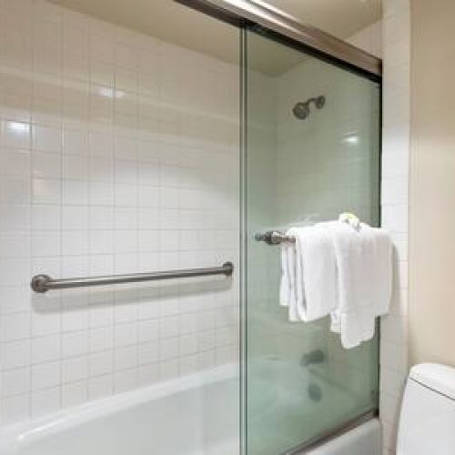 Tub/shower combo with ADA hand rails