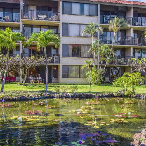 Beautiful tropical koi pond