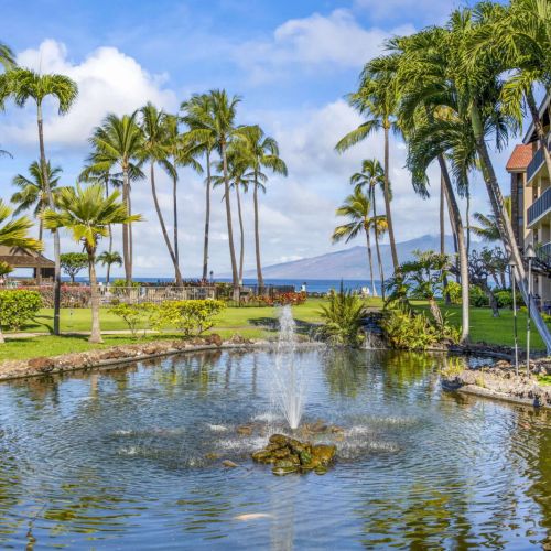 Beautiful tropical koi pond