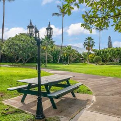 Picnic areas around the resort