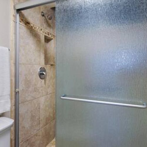 Walk in shower with ADA rails