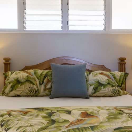 Windows now have black out curtains