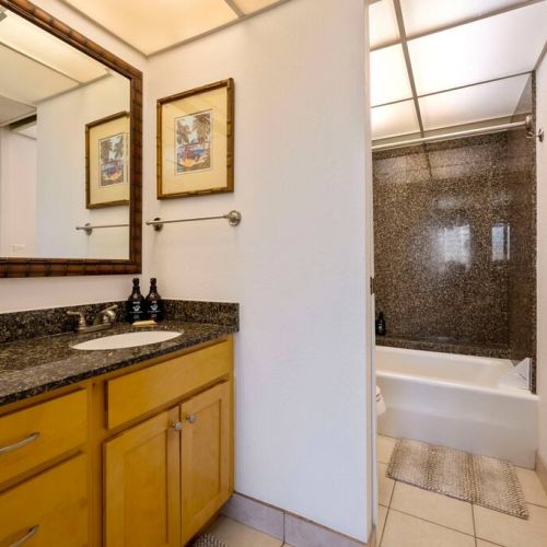 Full bathroom with tub/shower combo, toilet, and single vanity sink