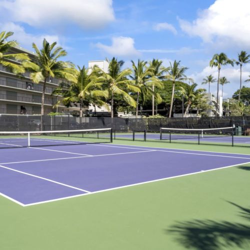 Two tennis and pickle ball courts.