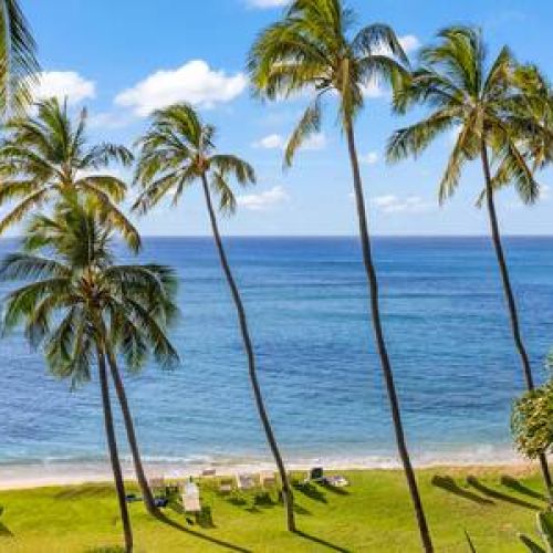 Your own beachfront awaits you