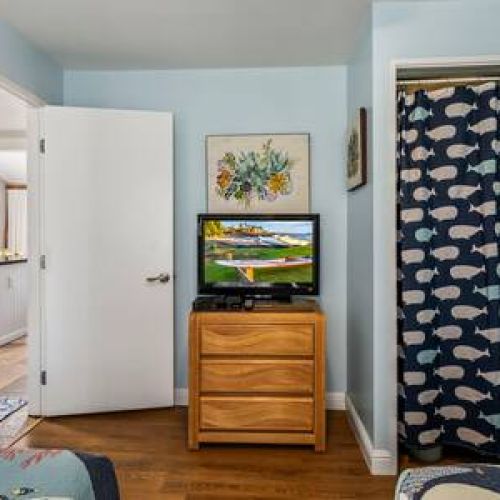 This room also has closet space, ceiling fan, and TV with cable.