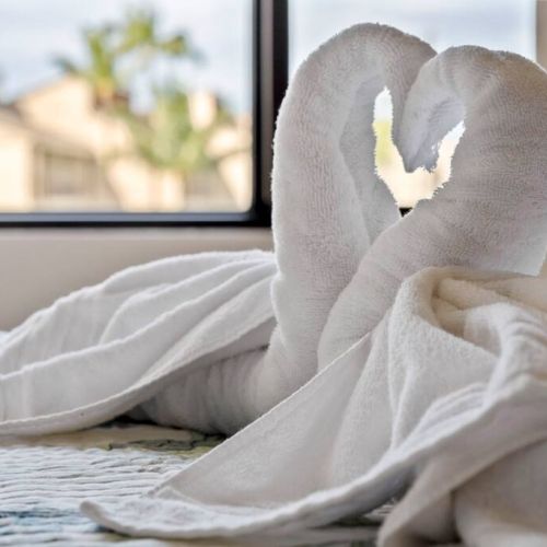 Love birds...