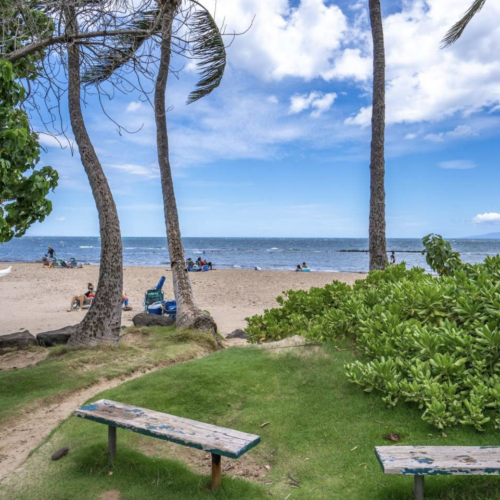 Beach access path across street